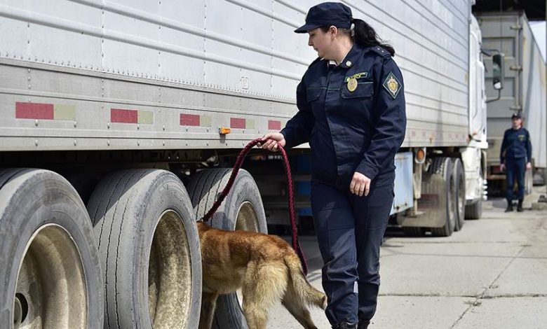 Фото - Экономист оценил возможность продления параллельного импорта после 2023 года